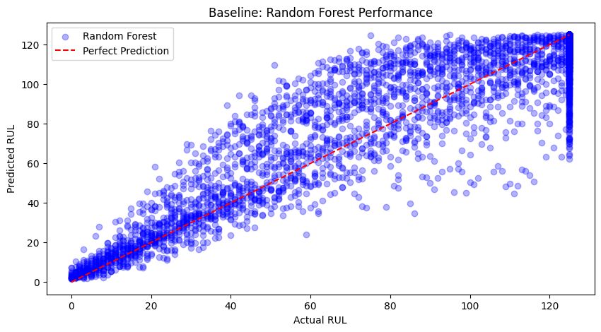 Random Forest Baseline Performance